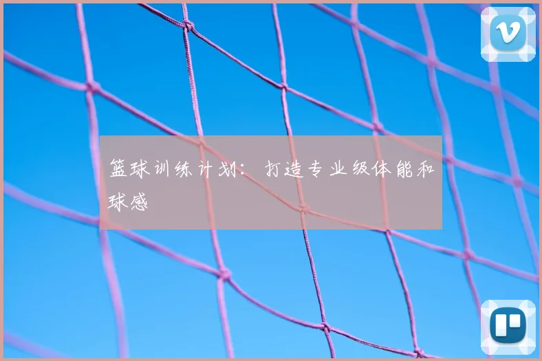 篮球训练计划：打造专业级体能和球感