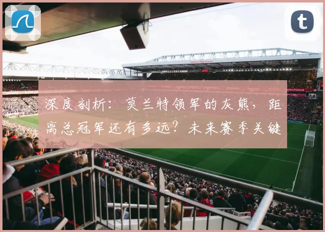 深度剖析：莫兰特领军的灰熊，距离总冠军还有多远？未来赛季关键因素解读