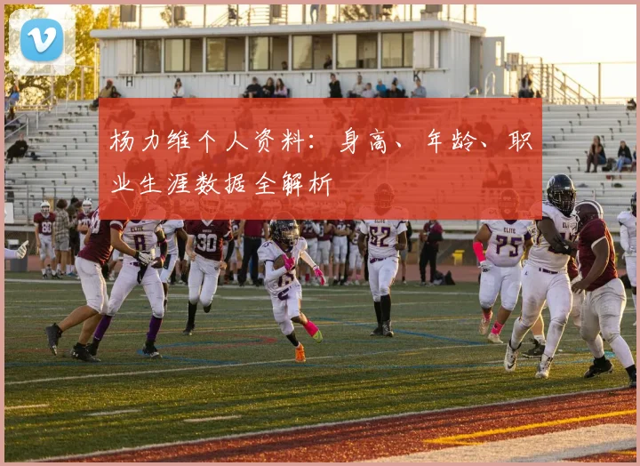 杨力维个人资料：身高、年龄、职业生涯数据全解析